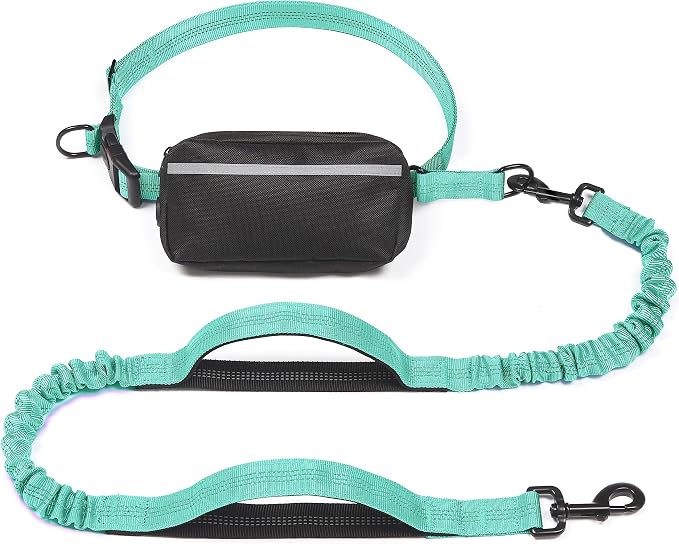iYoShop Hands Free Dog Leash with Zipper Pouch, Large, 25-120 lbs, Teal | Waist Leash, Dual Padded Handles, Shock-Absorbing Bungee, Adjustable Waist Belt, Walking and Running