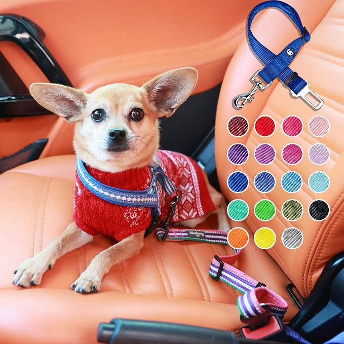 Blueberry Pet Dog Seatbelt for Car - Heavy Duty, Adjustable Fit, Violet, 16.5-25.5 Inch, Medium Dogs, Classic, Durable, Car Seatbelt Restraint