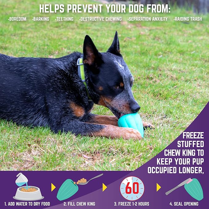 Chew King Premium Treat Dog Toy (XL, Pack of 2) and Planet Dog Orbee-Tuff Snoop Interactive Treat Dispensing Dog Toy (Large, Blue)