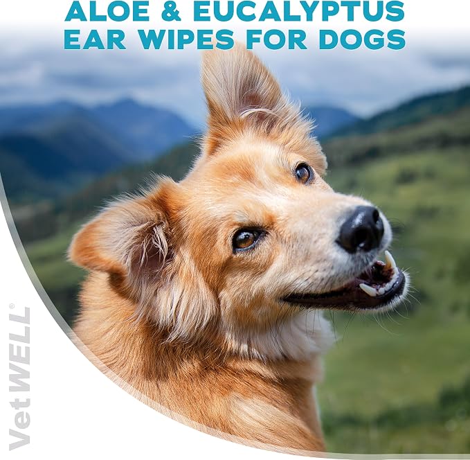 EarWELL by VetWELL Dog Ear Wipes, 100 Count