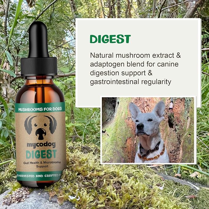 MycoDog Digest, Digestive Mushroom Supplement for Dogs for Healthy Poop
