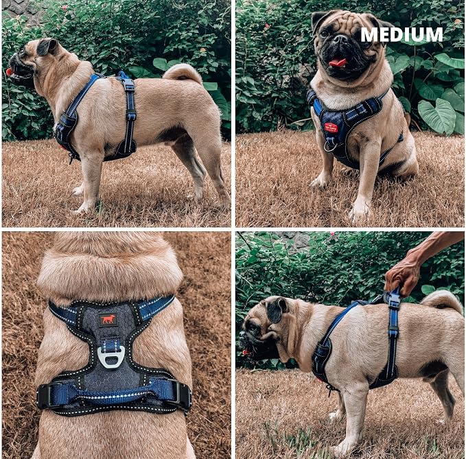Tuff Pupper No Pull Easy Walk Dog Harness | Heavy Duty Pet Vest | Front & Back Leash Clips | Strong Safety Handle | Reflective Anti Pull Vest | Comfortable Padded Escape Proof Harness (Medium, Blue)