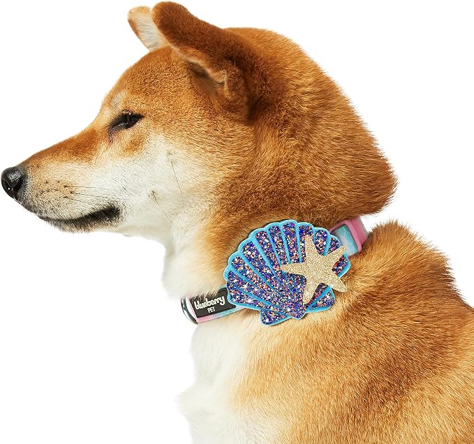 Blueberry Pet Summer Sparkle Dog Collar, Adjustable Medium Size, Neck 14.5"-20", Pink and Blue, Ocean Mermaid Scales Print Nautical Pet Collar with Detachable Seashells Accessory