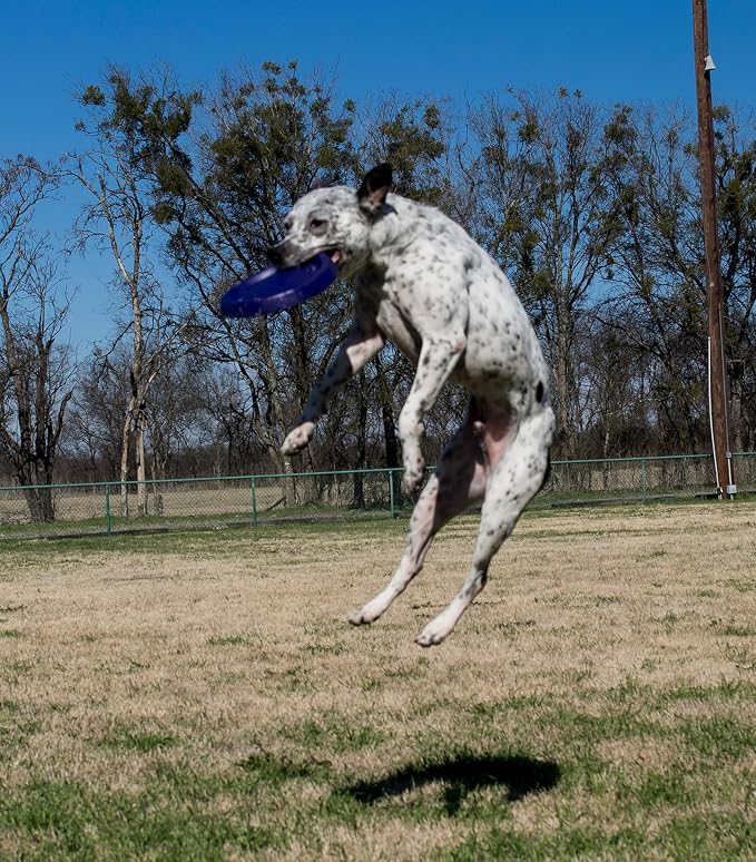 Starmark EasyGlide DuraFoam Flying Disc Dog Toy 9-inch