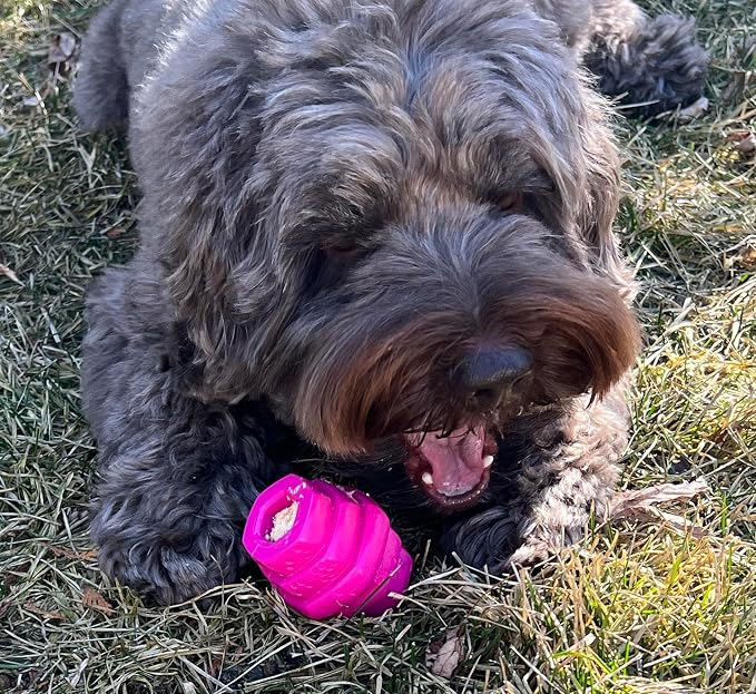 Hive Chew Toy for S/M Dogs – Pink/Wild Berry Scent – Chew, Fetch, & Treat-Dispensing Enrichment Toy, Floats, Made in USA, Pairs with Hive Chew Sticks for S/M Dogs for Longer-Lasting Play