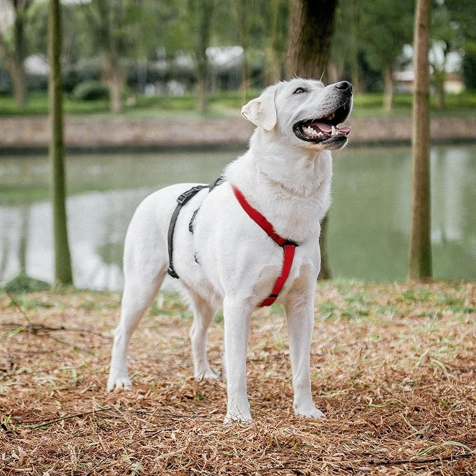 PUPTECK Escape Proof Dog Harness - No Pull Soft Padded Full Body Pet Halter Harness with Lift Handle for Small Medium Large Doggies Walking Hiking Hunting, Red & Black, L