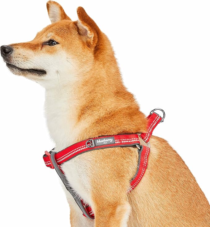 Blueberry Pet Soft & Comfy 3M Reflective Step-in Pastel Color Padded Dog Harness, Chest Girth 16.5" - 21.5", Red, Small, Adjustable Harnesses for Dogs