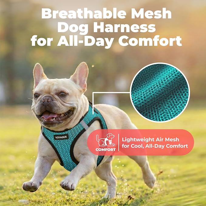Voyager Step-in Air Dog Vest Harness - Turquoise 2-Tone, Small | 14.5-16" in Chest, Reflective Bands, All Weather Breathable Air Mesh, Cats Compatible, Lightweight, Fast Drying