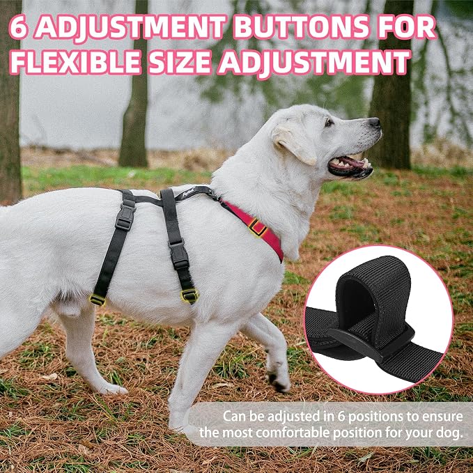 PUPTECK Escape Proof Dog Harness - No Pull Soft Padded Full Body Pet Halter Harness with Lift Handle for Small Medium Large Doggies Walking Hiking Hunting, Deep Pink & Black, XL