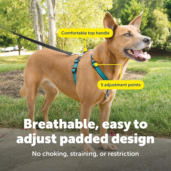 PetSafe 3 in 1 No-Pull Dog Harness - Walk, Train or Travel - Helps Prevent Pets from Pulling on Walks - Seatbelt Loop Doubles as Quick Access Handle - Reflective Accents - Medium, Teal | Rests on Chest Not Throat to Reduce Pulling, 5 Adjustment Points,...