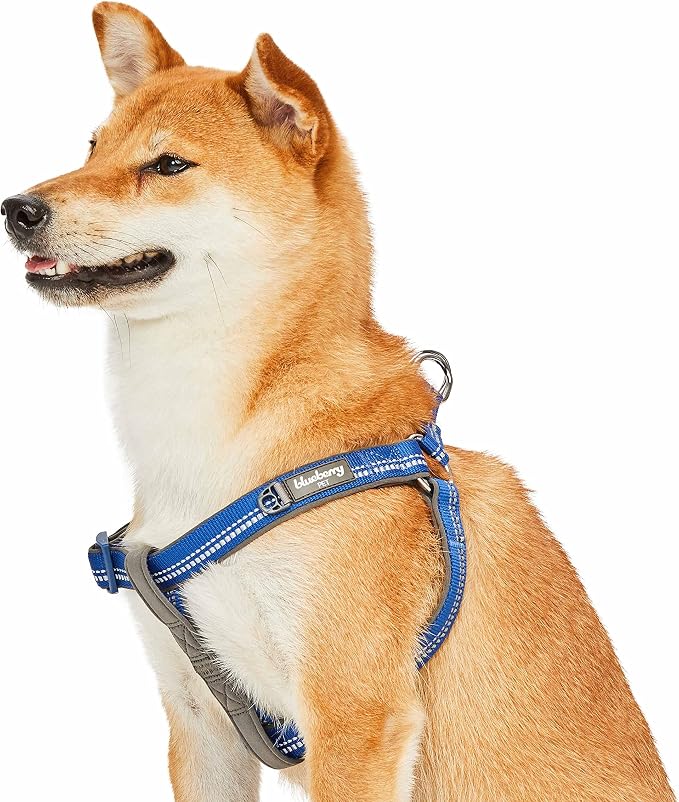 Blueberry Pet Soft & Comfy 3M Reflective Step-in Pastel Color Padded Dog Harness, Chest Girth 26" - 39", Navy, Large, Adjustable Harnesses for Dogs