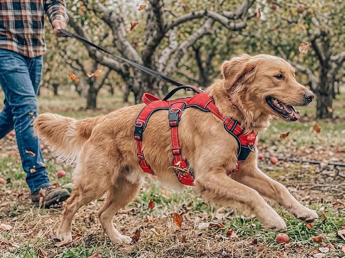 Tuff Pupper Escape Proof No Escape Dog Harness | 5 Point Adjustable Fit Harness for Dogs | Padded Dog Harnesses | Handle Dog Lift Harnesses