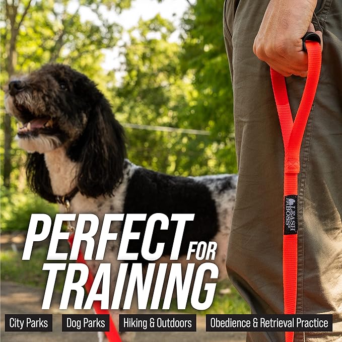 Leash Boss Free Range - Long Dog Leash for Large Dogs - 1 Inch Heavy Duty Nylon Training Lead with Padded Handle - High Visibility Orange - Extra Long Dog Leash (30 Ft)