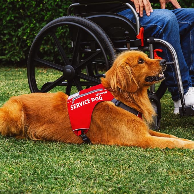 Tuff Pupper Service Dog Vest with ID Pocket | No Leash Attachment | Quick-Release Magnetic Buckles | Reflective Trim | Adjustable Fit | Comfortable & Durable | Designed for Small Dogs (Red, Medium)