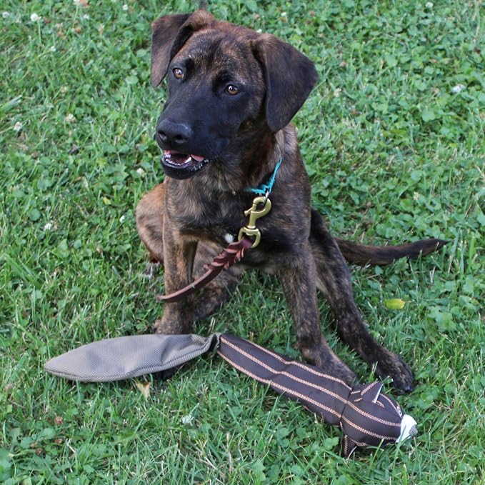 SPOT Skinneeez Durables Chipmunk- Extra Tough Dog Toy Made from Ballistic Material, Stuffingless Dog Chew Toy for Strong Chewers, Great for Fetch and Tug with Large Dogs and Puppies - 23in