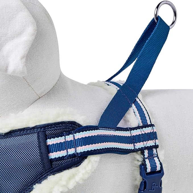 Blueberry Pet Soft & Comfy Multi-Colored Stripe Fleece Padded Chest Dog Harness, Chest Girth 20.5" - 26", Blue, Medium, Adjustable No Pull Training Harness for Dogs