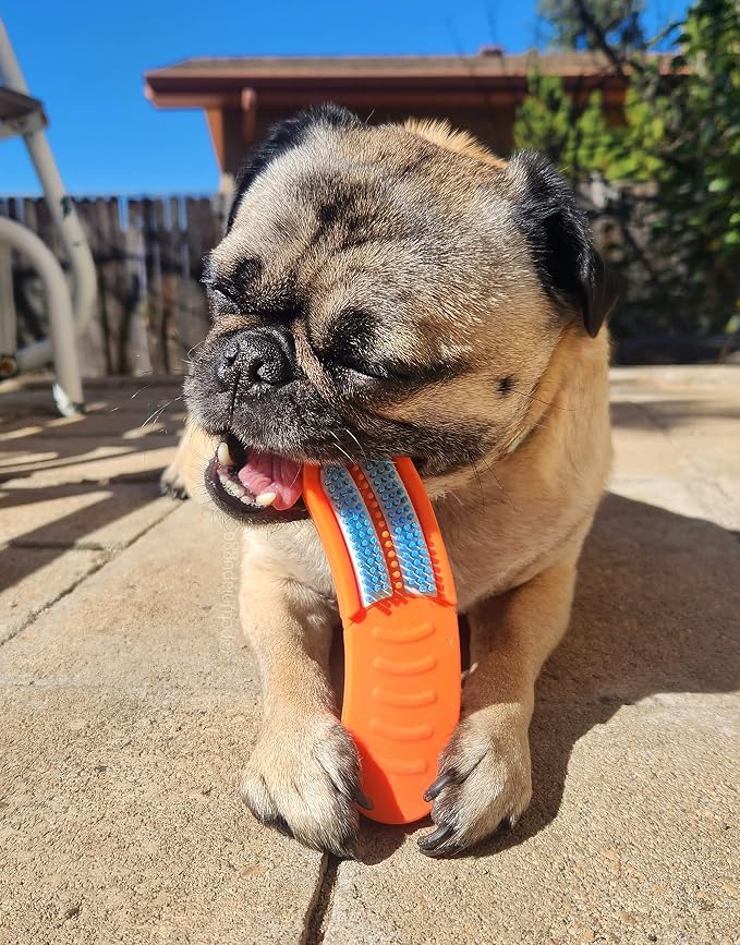 Bully Brushir Dog Toothbrush Oral Care Dental Care Teeth Cleaning … (Small for Dogs 10 to 48 lbs)