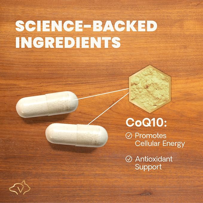 VetriScience CoQ10 Healthy Heart Capsules for Dogs and Cats, 120 Count
