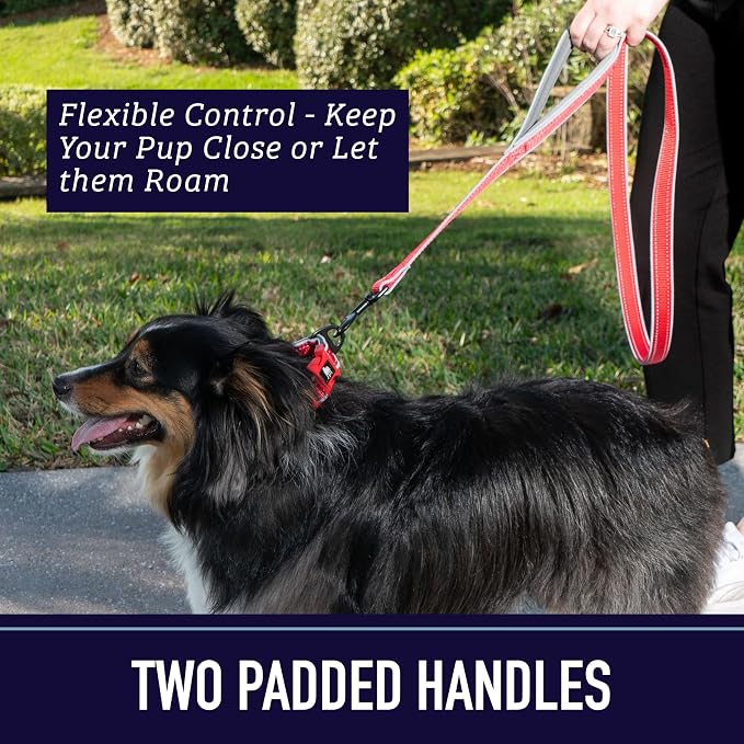 Leash Boss Double Handle Dog Leash - 6 Ft Reflective with Two Padded Handles for Large or Medium Dogs That Pull (Black/Gray)