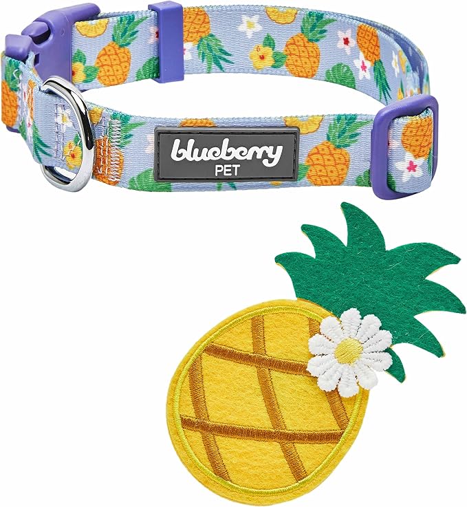 Blueberry Pet Nutritious Pineapple Adjustable Dog Collar with Detachable Accessory, Small, Neck 12"-16"