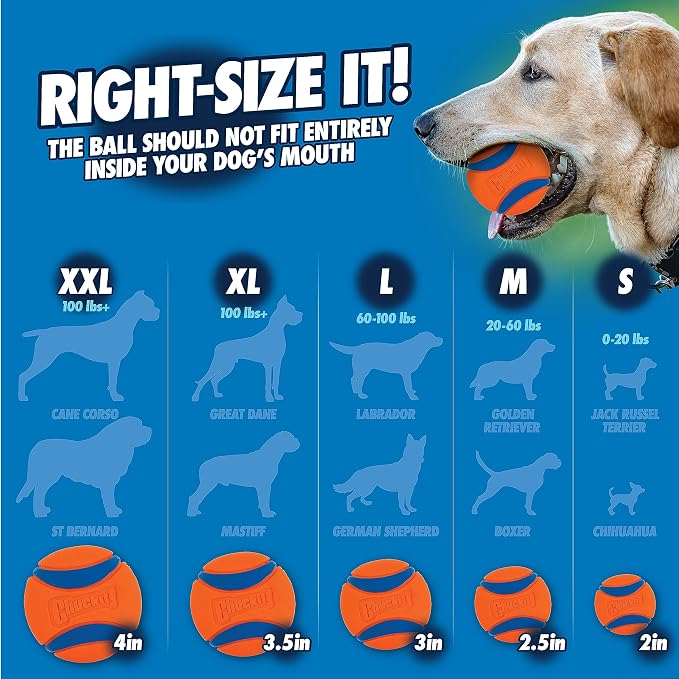 Chuckit! Dog Ball Launcher, Pro 18in, with Medium 2.5in Ball | Sized for Dogs Weighing 20 to 60 Pounds, Made in USA