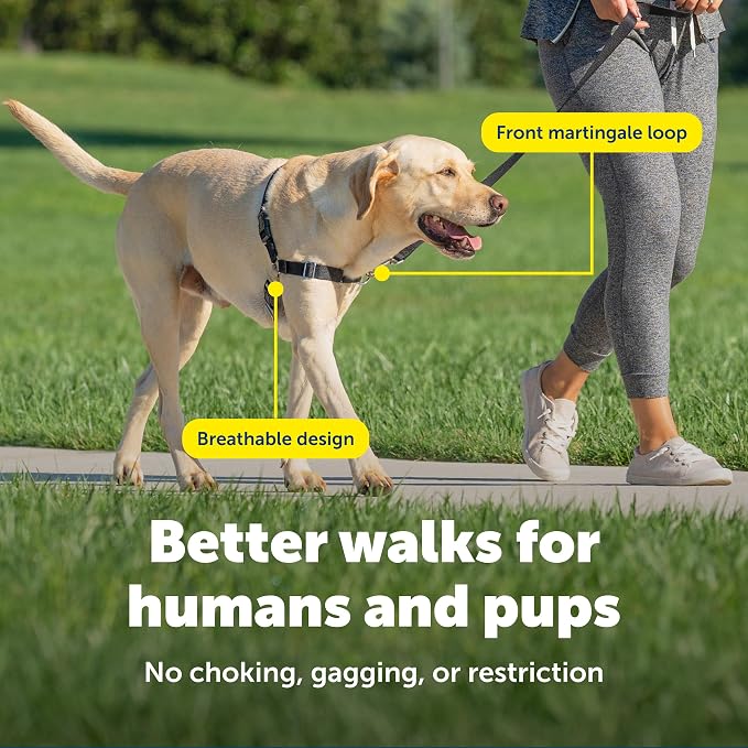 PetSafe Easy Walk No-Pull Dog Harness - Ultimate Harness to Help Stop Pulling - Pull-Free Walks - Take Control & Teach Better Leash Manners - Patented Martingale Loop Design - Deep Purple,Medium/Large