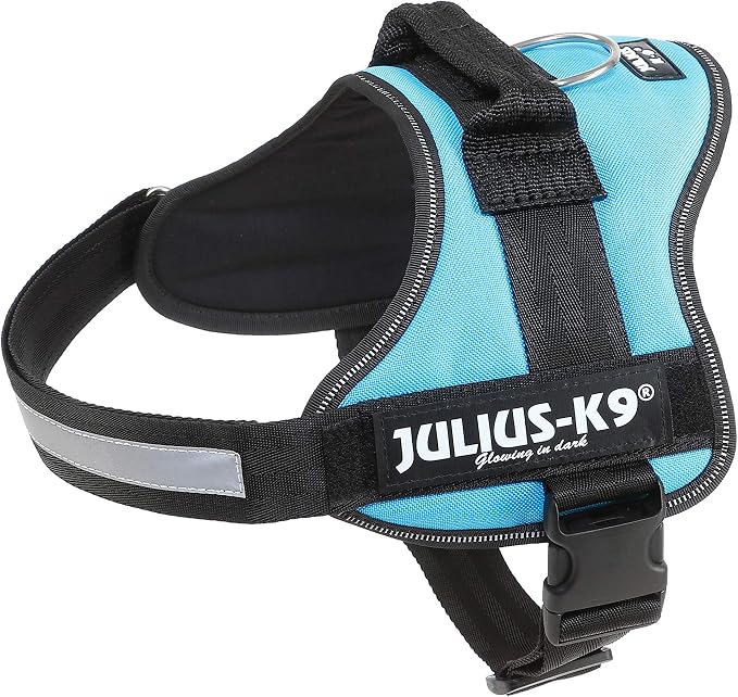Julius-K9, 162 W, K9-Power Dishes, Aquamarine, 0, Green-Blue