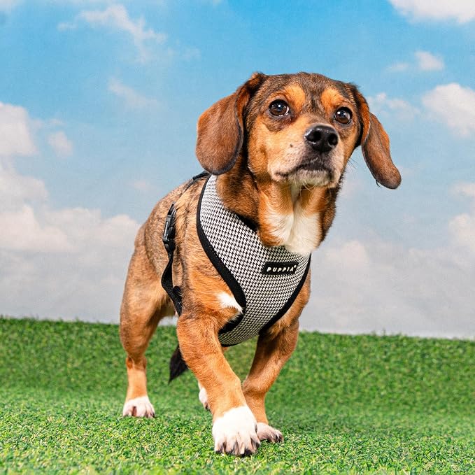 Puppia Amatus Dog Harness A (Over-The-Head) Fashionable Houndstooth Pattern Spring Summer Harness for Small and Medium Dogs, Black, Large