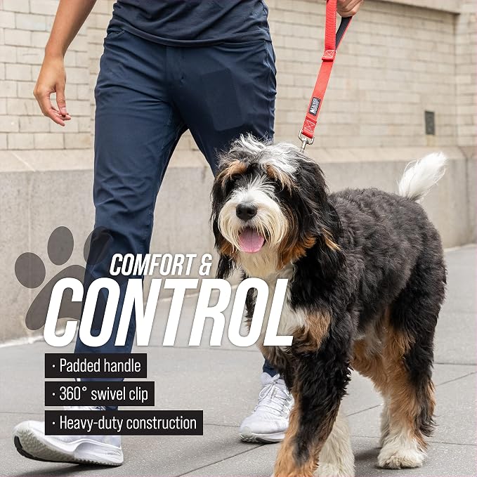 Traffic Handler - Short Dog Leash with Traffic Handle for Large Dogs - Made in USA - Great for Double Dog Couplers, Service Dogs, and Training (18 Inch, Classic Black)