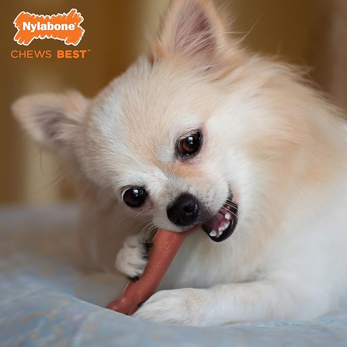 Nylabone Power Chew Classic Bone Chew Toy for Dogs, Durable Dog Toys for Aggressive Chewers, Bacon Flavor, X-Small/Petite - Up to 15 lbs. (1 Count) | Durable, discourages destructive chewing, long lasting, flavor throughout, keeps dogs busy, for dogs u...