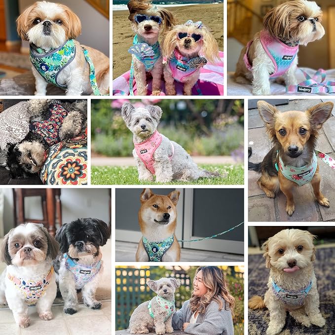 Blueberry Pet Summer Sparkle Dog Harness Vest, Adjustable Medium Size, Chest Girth 19.5" - 26", Blue, Zesty Fruit Watermelon Print Pet Harness