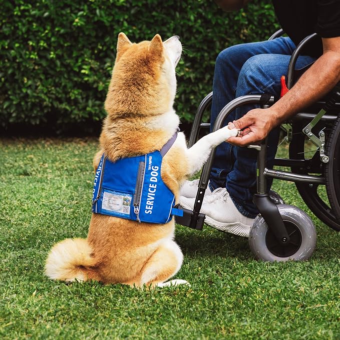Tuff Pupper Service Dog Vest with ID Pocket | No Leash Attachment | Quick-Release Magnetic Buckles | Reflective Trim | Adjustable Fit | Comfortable & Durable | Designed for Small Dogs (Blue, Small)