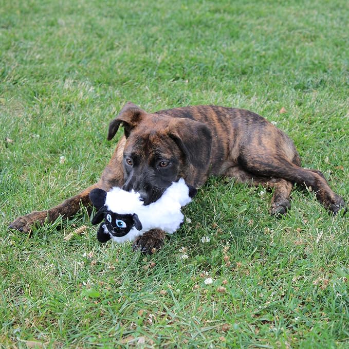 SPOT Baa Baa Black Sheep Plush Dog Toy - Cute and Cuddly Fleece Toy with Squeaker for Small Dogs and Puppies, 8in Black and White Lamb