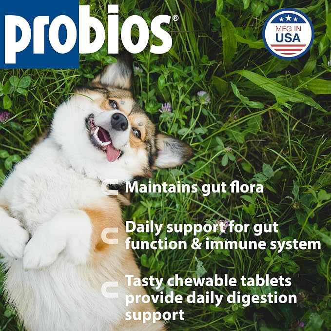 Probios Dog Probiotic Chewable Tablets, Chicken Liver, 45 Count, 2-Pack
