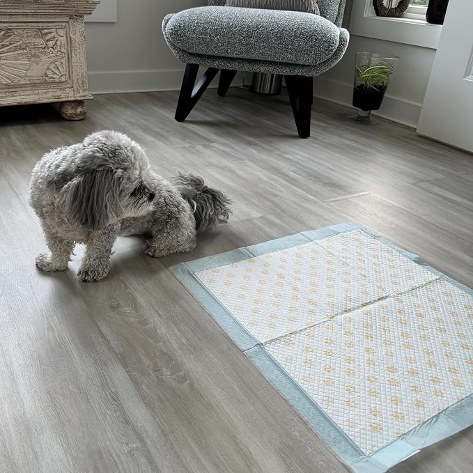 Spot Dr. Bales Early Detection Health Monitoring Pee Pads- Puppy Pee Pads with Color-Changing Paw Prints Indicating Your Dog’S Urine Ph Level, Super Absorbent, Leak Proof, 22in x 22in, 100 Pack