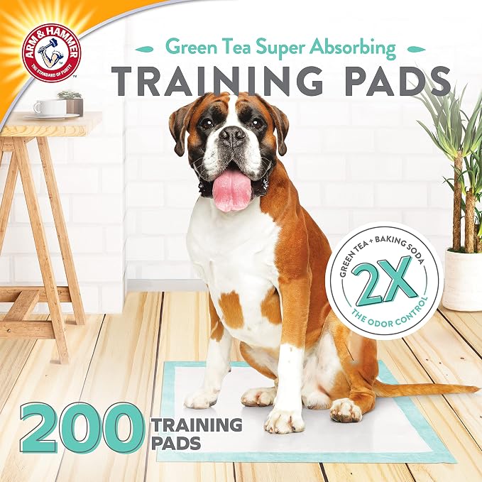 Arm & Hammer Green Tea Pet Training Pads, 200 Count, Super Absorbent with Green Tea and Baking Soda, 2X Odor Control, 5-Layer Leak-Proof Construction, 22.5 x 22.5 Inch