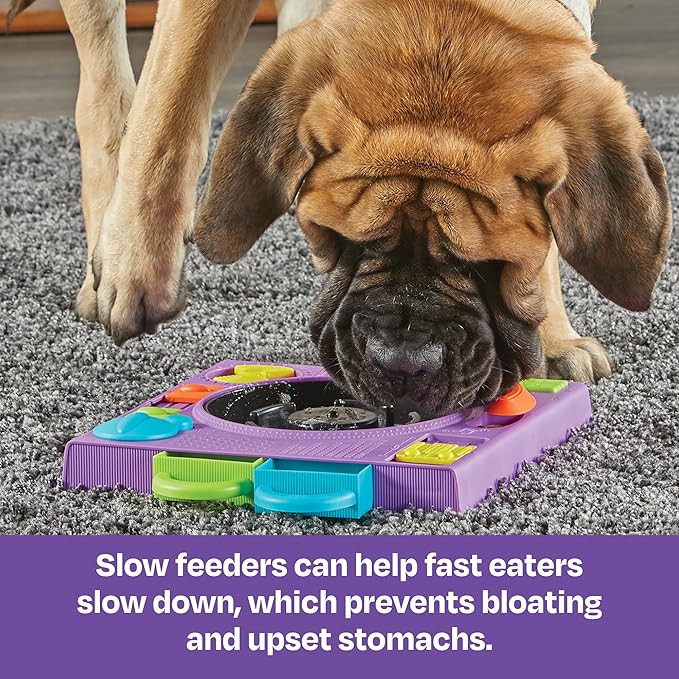 Brightkins DJ Doggo Puzzle Feeder - Slow Feeder Dog Bowls, Puzzle Toys for Dogs, Slow Eating Dog Bowl, Large Puppy Bowls, Treat Puzzles Feeders for Cat and Dogs, Puppy Food Bowl