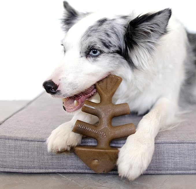 Benebone Medium 4-Pack Dog Chew Toys for Aggressive Chewers, Made in USA, 60lbs and Under & Ring Durable Dog Chew Toy for Aggressive Chewers, Real Bacon, Made in USA, Medium