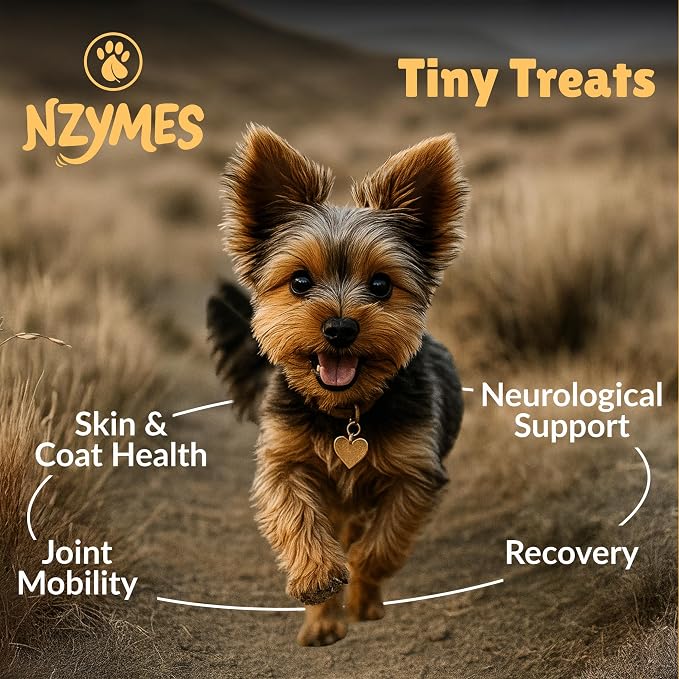Nzymes Antioxidant Tiny Treats - for Dogs Joints, HIPS, Paralysis, Skin, Coat, Hair Loss, Aging, Digestion, Seizures - Dog Treats for Small Dogs - 90 Treats - Made in The USA