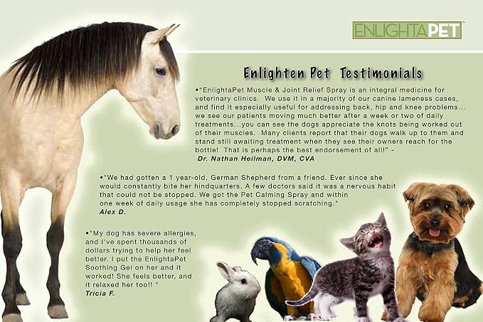 JADIENCE Dog, Horse & Cat Skin Soothing Gel: Homeopathic Treatment for Hotspots, Rashes & Sores | All Natural Pet Wound & Lesion Care | Provides Relief for Itching, Discomfort & Pain | EnlightAPet