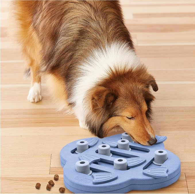 Outward Hound Nina Ottosson Dog Hide N' Slide Dog Toy Treat Puzzle, 11.6" | Level 2 Intermediate, 14 Hidden Treat Compartments, Slide & Swivel, Kibble or Treats, Easy Clean, Enrichment, Dogs & Puppies