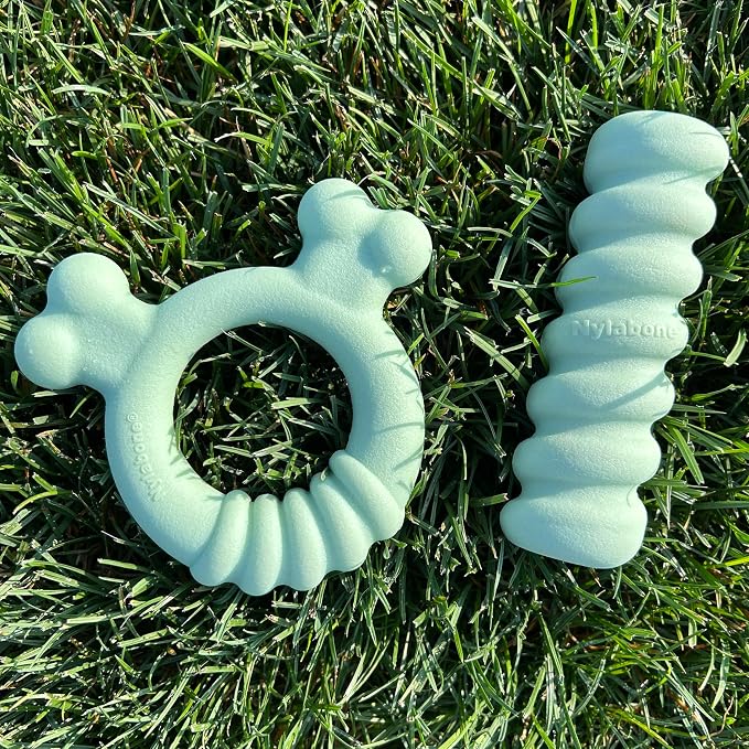 Nylabone Puppy Chew Sensory Material Soothing Ring Dog Chew Toy, Small | Chicken flavor, soothing teething toys for puppies, teething relief, freeze for extra comfort, up to 25 lbs