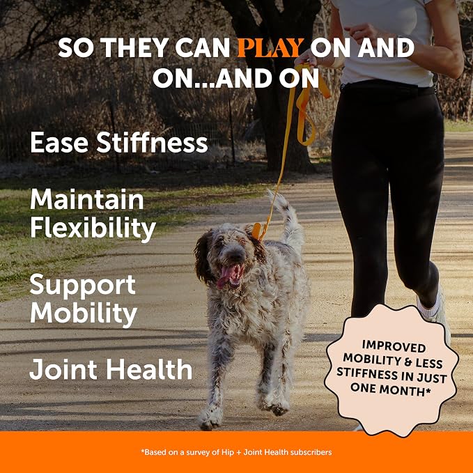 Allergy Support + Hip & Joint Health Soft Chew Virtual Bundle - Skin & Seasonal Pollen Allergies - Itch Relief for Dogs - Joint Support, Chondroitin, MSM, Turmeric, Pet Joint Pain Relief Vitamin