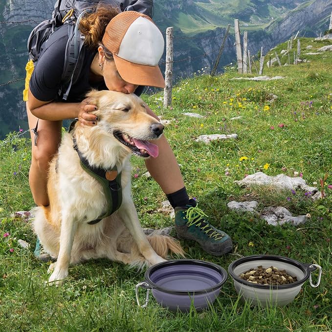 Dog Bowl, Large Collapsible, 2 Pack, with Carabiners, Purple & Concrete Gray