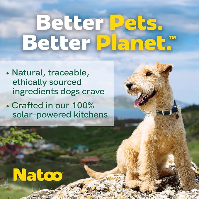 NATOO Dog Food Topper for Picky Eaters, Dog Treat (Chicken, Carrot, Brown Rice, & Quinoa) Dog Toppers for Dry Food, Wet Meal Toppers for Dogs & Puppies, Limited Ingredient Dog Food (Case of 20) 3oz Ea