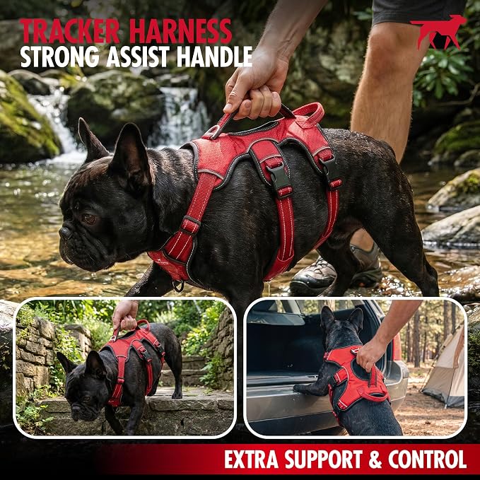 Tuff Pupper Escape Proof No Escape Dog Harness | 5 Point Adjustable Fit Harness for Dogs | Padded Dog Harnesses | Handle Dog Lift Harnesses
