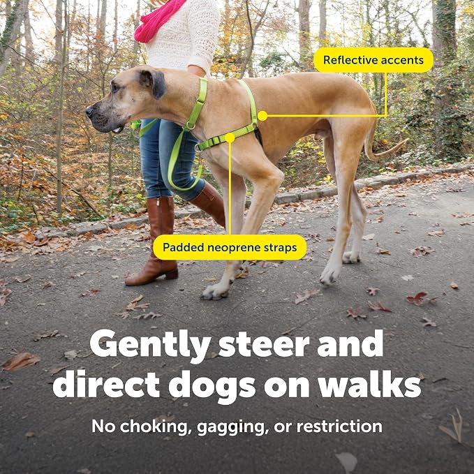PetSafe Easy Walk Deluxe Dog Harness, No Pull Dog Harness – Perfect for Leash & Harness Training – Stops Pets from Pulling and Choking on Walks – Large, Apple