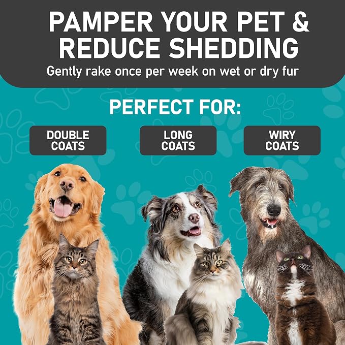 Maxpower Planet Pet Grooming Brush, Purple