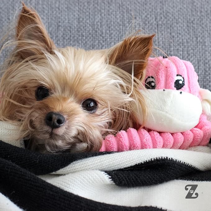 ZippyPaws Crinkle Monkey Squeaky Plush Pet Toy for All Breeds - Small, Pink | Interactive Dog Toys to Keep Them Busy, Small and Medium Dogs, Contains 1 Round Squeaker
