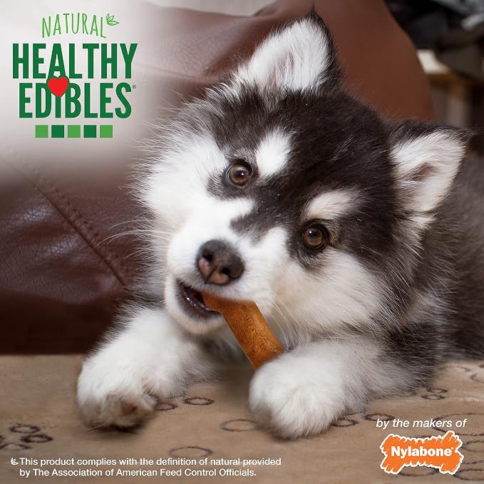 Nylabone Healthy Edibles Natural Puppy Chews Long Lasting Treats for Puppies, Turkey & Sweet Potato Flavor, Small/Regular (8 Count)
